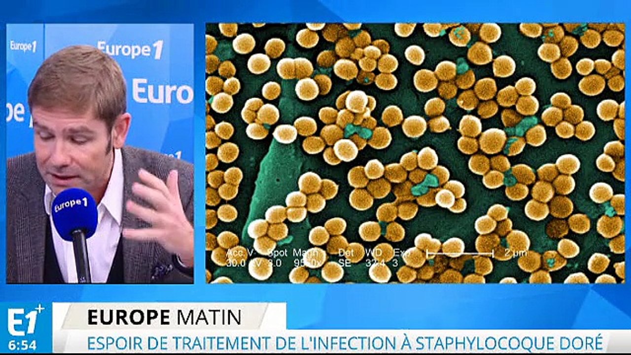 Staphylocoque doré : enfin un espoir de traitement