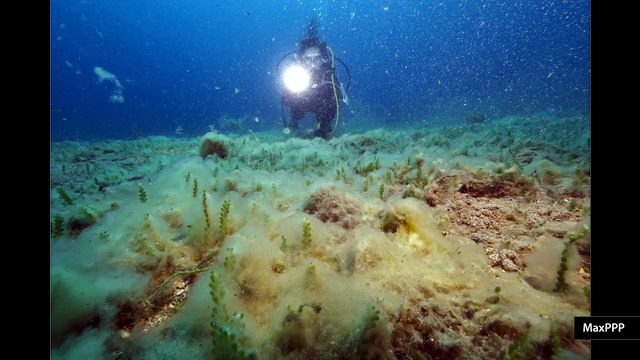 A quoi ressemblera la Mer Méditerranée à la fin du XXIème siècle ? (Planète Environnement)