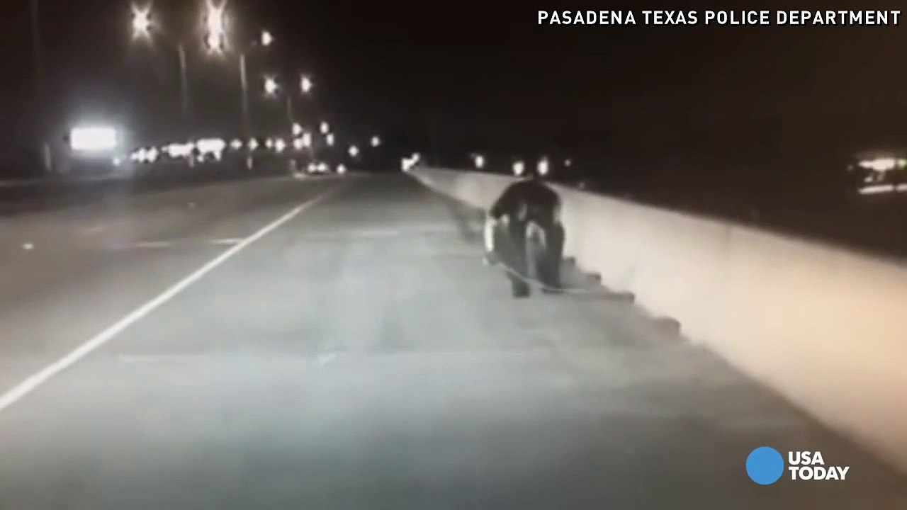 Police Officer Saves Meowing Kitten Stuck on Highway and Changes His Life Forever!