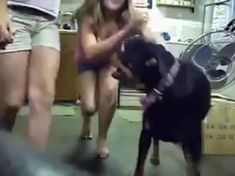 Köpek Sahibini Korumak İçin Neler Yaptı