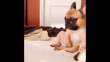 Komik iş makinası kazaları ,funny construction equipment accidents, 有趣的建筑设备事故 lustig 面白い建設