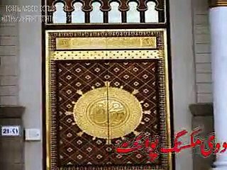 IMRAN ALI QADRI; HALEEMA MA TERY  (4)