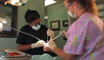 Dentist Cumming GA
