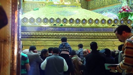 Aie Meray Bhai Reza (as)  - Mir Hasan Mir Noha 2015-16 [HD]