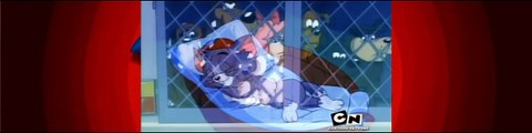 Tom and Jerry Kids Dog Daze Afternoon - Season 1