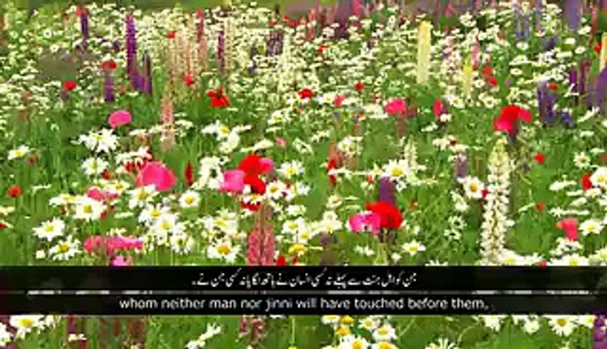 Surah Ar-Rehman Surah Ar-Rahman with Urdu Translation - Video Dailymotion