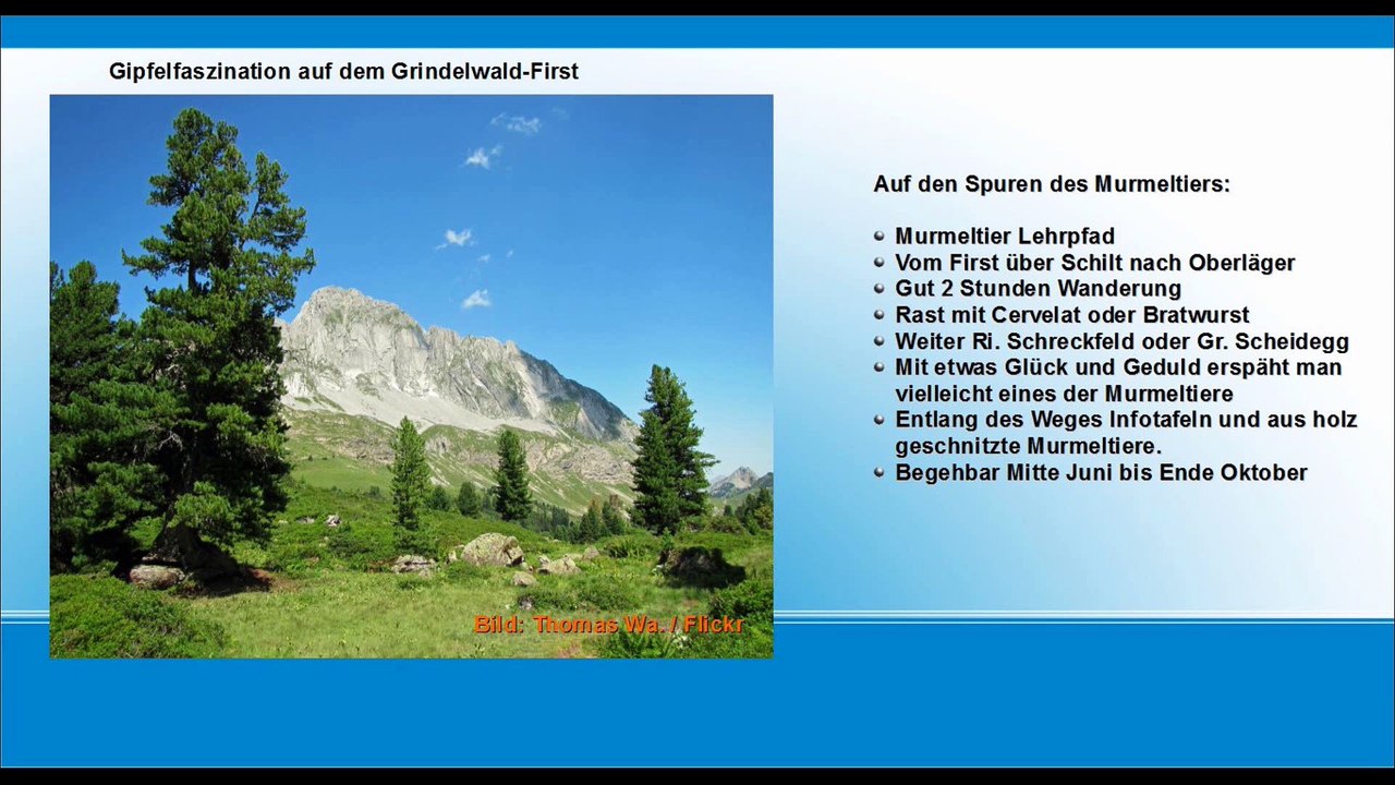 Reise tv - gipfelfaszination grindelwald first