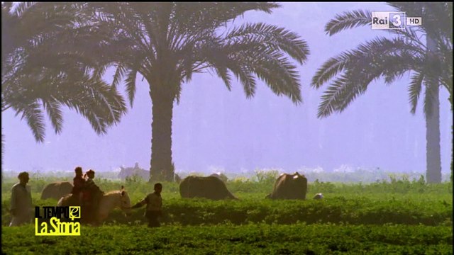 AKENATON, NEFERTITI E IL MONOTEISMO: NEL 1352-1336 A.C.