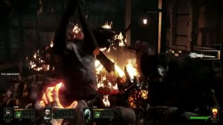 Warhammer End Times Vermintide  // Bright Wizard