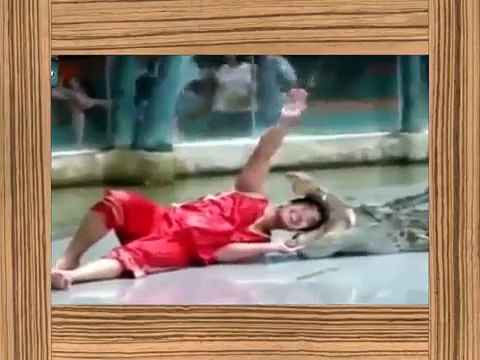 crocodile attacks crocodile attack human crocodile attacks human Top 10