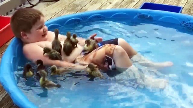 Kids Goes Swimming With A Bunch Of Ducklings
