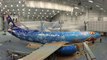 Disney Frozen Movie has now his official Painted Plane for Fans!