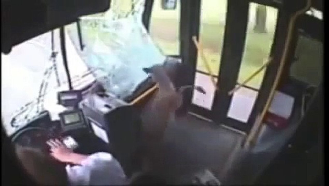 Caught on Camera- Animals Crash Compilation 2014