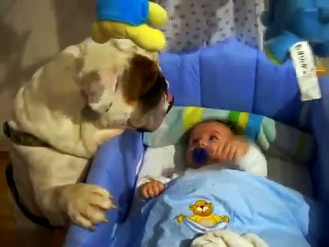 ★ ESTE BULLDOG SABE CUIDAR A LOS BEBES - Perros Locos Humor Divertidos Perros Chistosos Risa