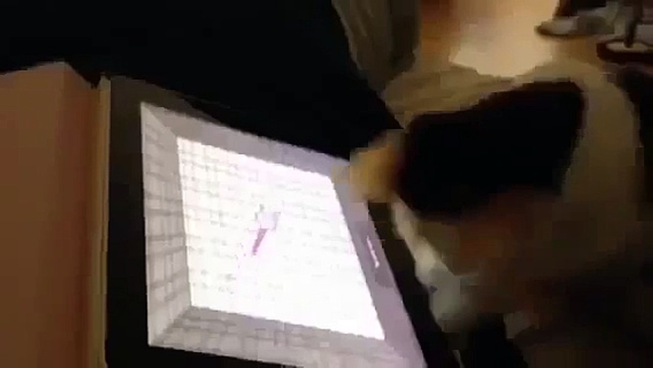 Buenisima Esta Aplicacion Para Gatos! ★ Gato divertido gato chistoso gato tierno loco risa humor