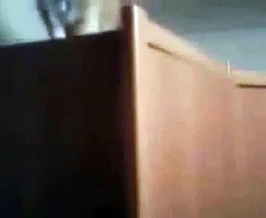 Creo Que El Gato Necesita Ayuda Con La Botella! ★ Gato divertido gato chistoso gato tierno humor