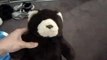 Calgary Hitmen 2012 Teddy Bear Toss - Watch 25,000 Bears Fly at Hockey Game