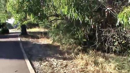 Bear Fishing | Alaskan Bush People