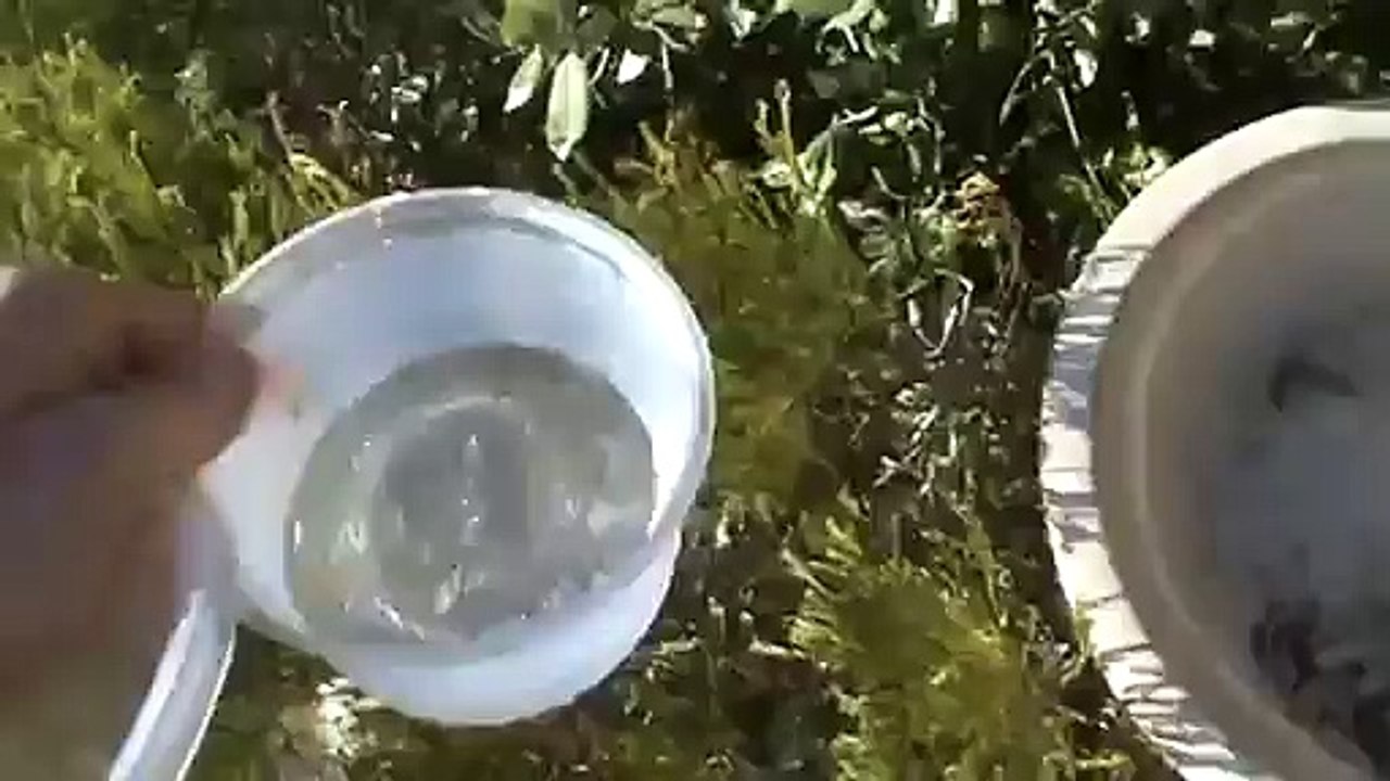 Easy Rinse & Fill Birdbath Set-Up.MOV