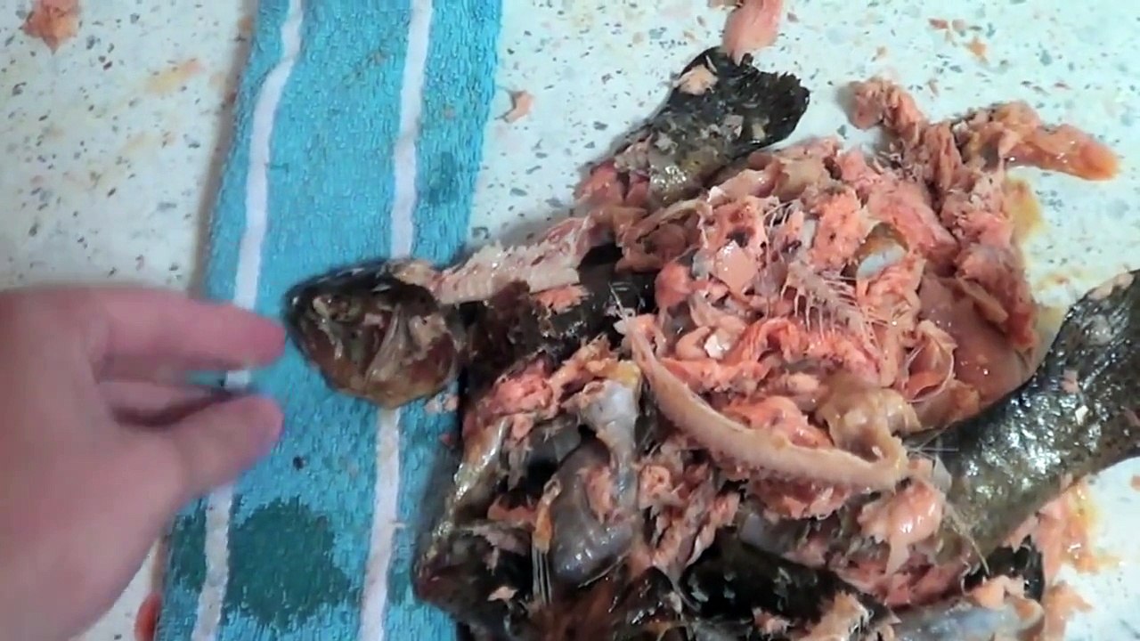 How To Stop Snoring In 3 Steps! (Amazing Sleep Apnea Treatment)