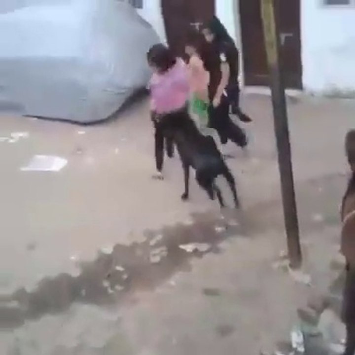 Don,t Take Easy This Bakraa.......Must watch it