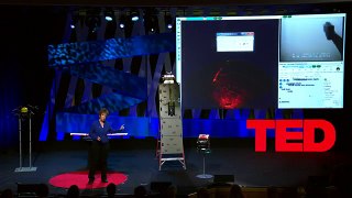 These Robots Come to the Rescue after a Disaster | Robin Murphy | TED Talks