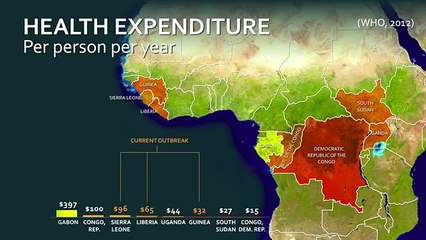 Why Vaccines are Made Too Late... If They’re Made At All | Seth Berkley | TED Talks