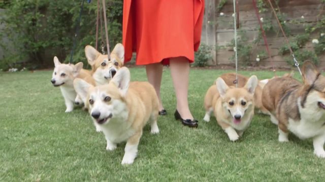 The Loyal Royals: The Queen's Corgis