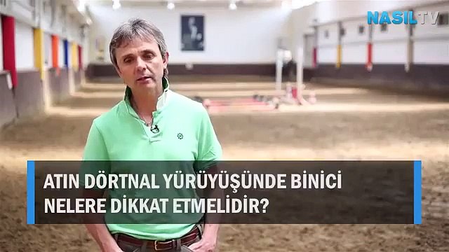 Atın dörtnal yürüyüşünde binici nelere dikkat etmelidir
