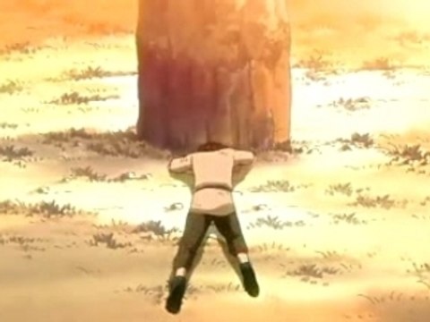 Rock Lee Tribute