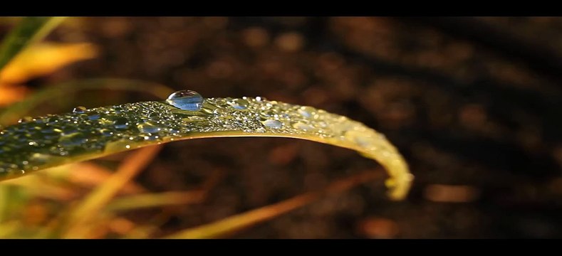 Short Documentary Quran miracles - Mind Blowing