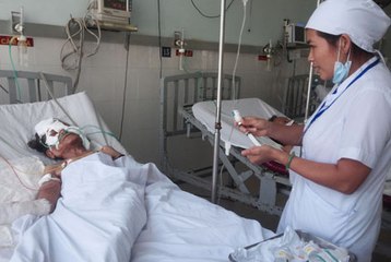 Truy tìm dấu vết lợn rừng tấn công người tại Quảng Nam