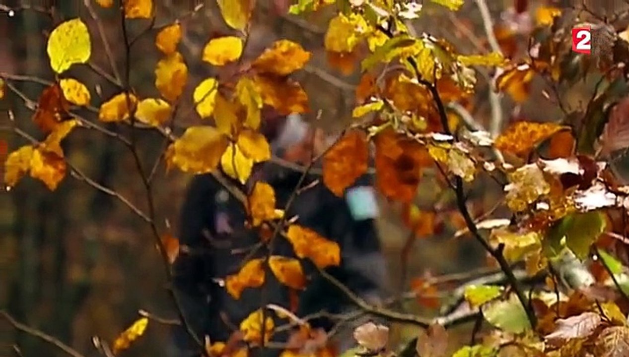 Le Parc National des Pyrénées vend ses maisons