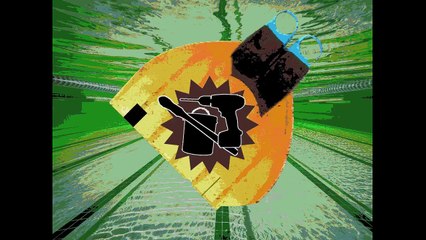 réparation palme fissure