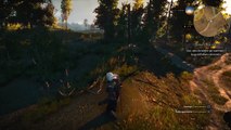 The Witcher 3: Water Grass [BUG]
