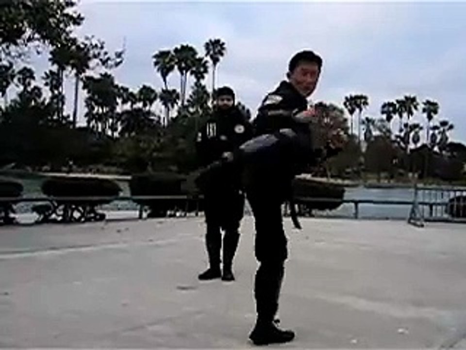 Ninja -Choson- NINTAIJUTSU kicks