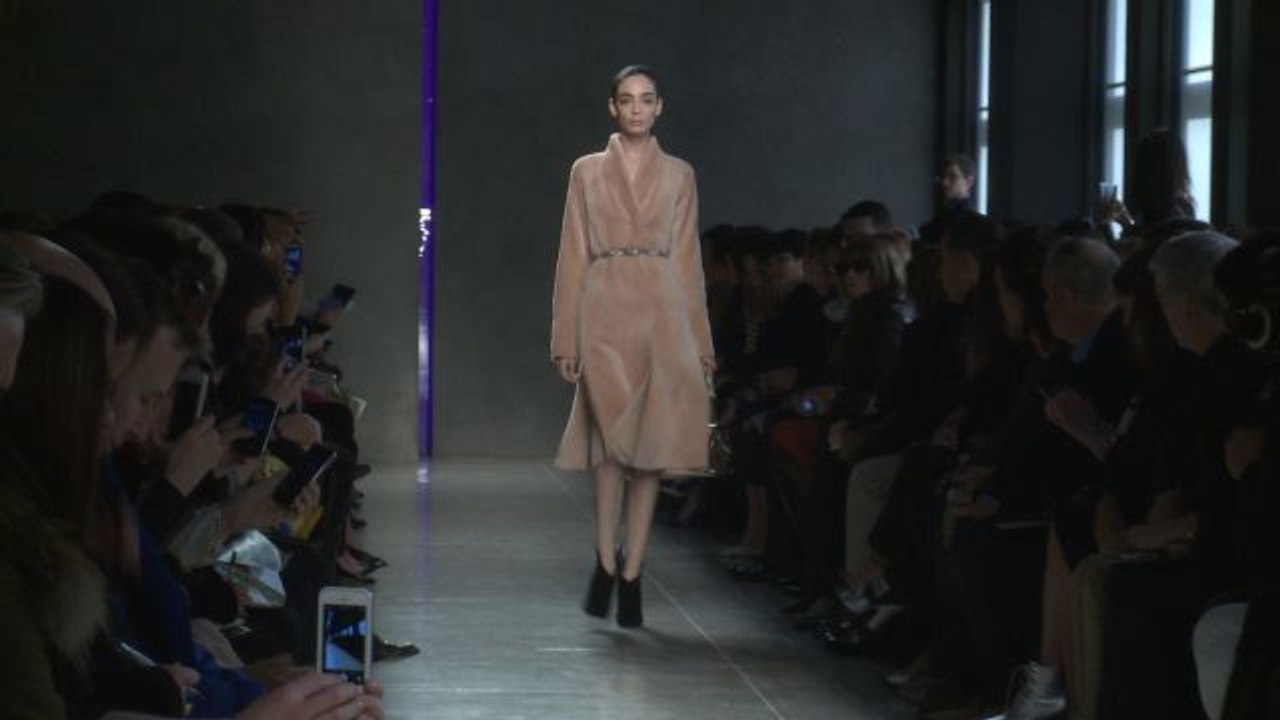 Style.com Fashion Shows - Bottega Veneta Fall 2014 Ready-to-Wear