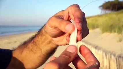 Caperlan  Comment rendre son appât surfcasting plus attractif [ASTUCE #3]