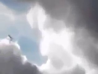 Real Life Fairy Caught on Camera