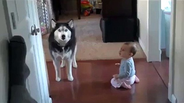 Bebeğin abisine verdiği tepki - Funny videos - Komik videolar