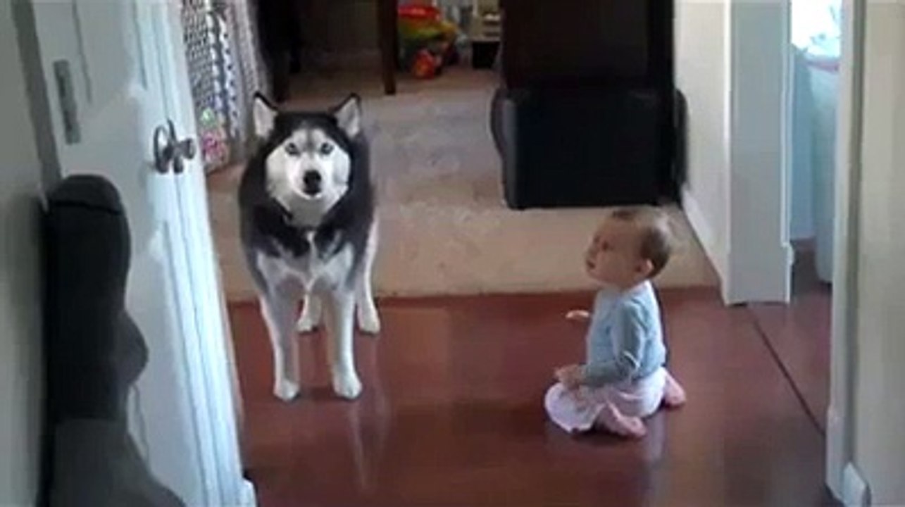 Bebeğin abisine verdiği tepki - Funny videos - Komik videolar