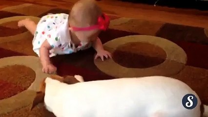 Biraz daha zorlarsa aynayı çatlatacak - Funny videos - Komik videolar