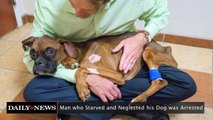 Man Who Starved and Neglected His Dog was Arrested