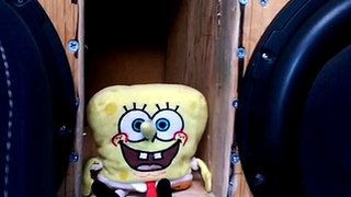 Spongebob bass pants