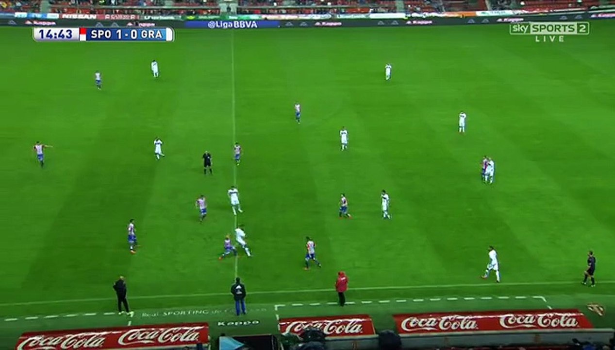 Halilovic skills