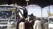 Donkey boarding on Bus roof by Pathan- Funny Video -