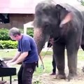 When Piano and elephants are combined