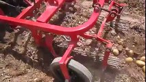 Potatoes harvesting method