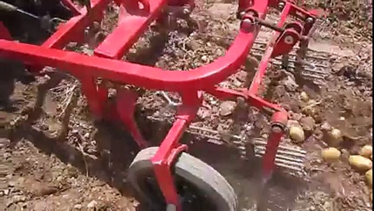 Potatoes harvesting method