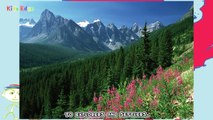 Geography Explorer: Mountains Educational Videos & Lessons for Children, Funny Game for Ki